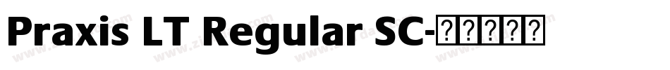 Praxis LT Regular SC字体转换